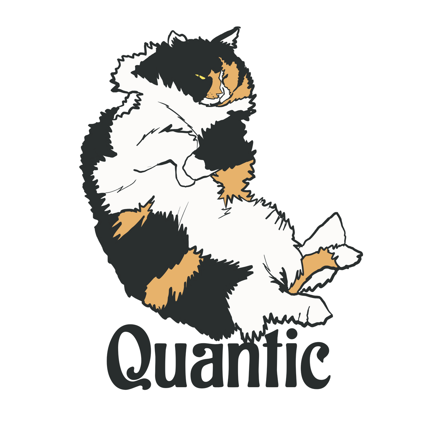 Quantic Bold series